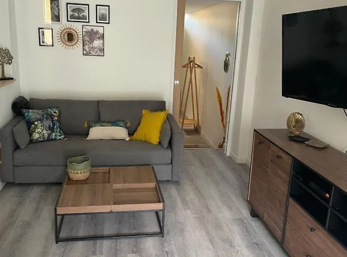 Appartement En Rez De Jardin Tout Equipe